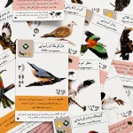 افزونه وینگسپن - تصویر 2