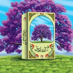 کندلوس میدیا مجیک